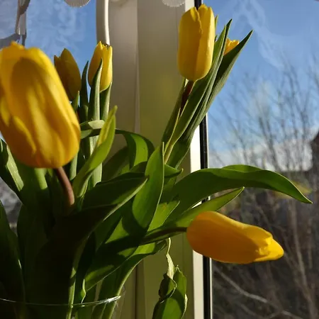 Romantic Old Lejlighed