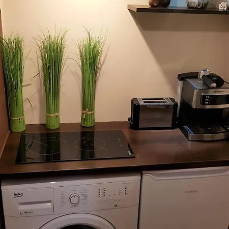 Apartman Romantic Old *